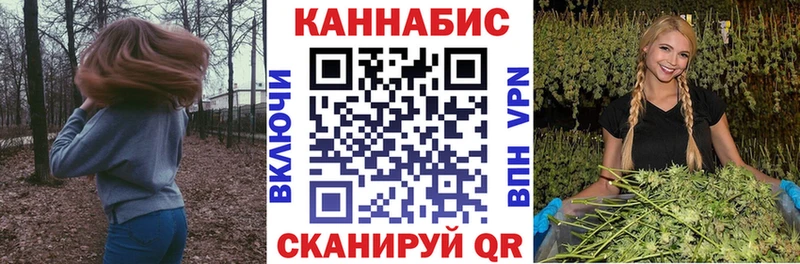 Конопля OG Kush  Кирсанов 